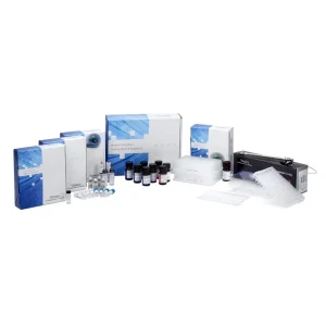 GlycoWorks Kits