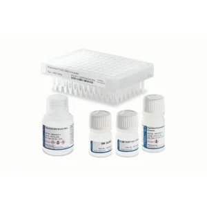 OligoWorks SPE Kits & Components